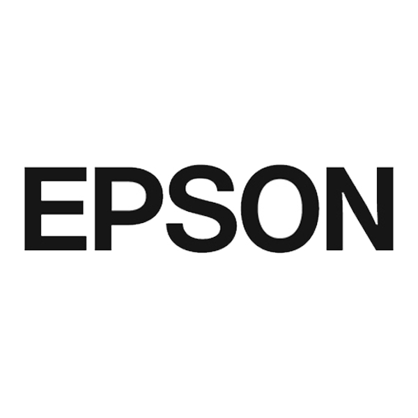 Epson Cartridges